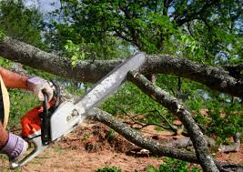 Best Firewood Processing and Delivery  in Meadowdale, WA